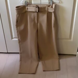 NWOT Ann Taylor Petite Belted Taper Pant